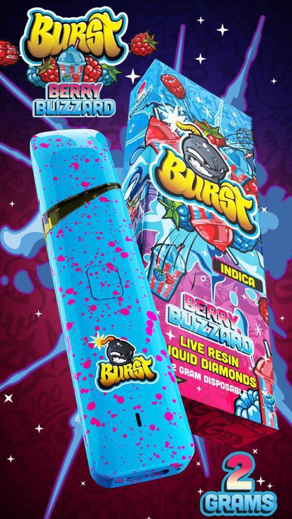 Burst Disposable - Image 4