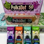 Polka Dot Disposable