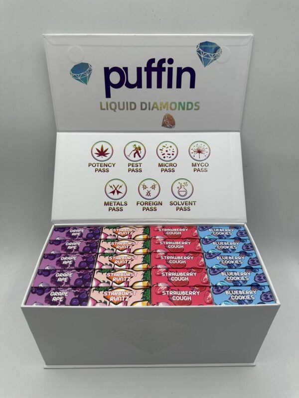 Puffin Disposable - Image 4