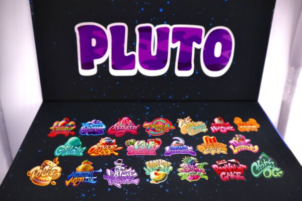 Pluto labs - Image 5