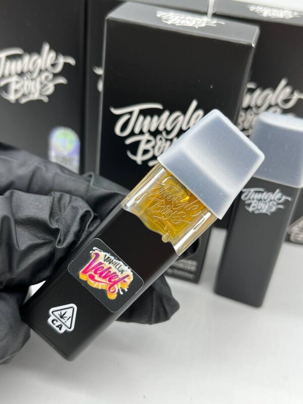 Jungle Boys Disposable