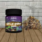Destroyer Rainbow Edition Premium Exotic THCA Flower 7g