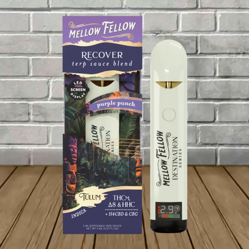 Mellow Fellow Terp Sauce Destination Blend Disposable 2g - Image 2