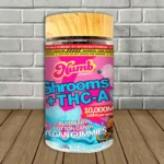 Numb Cannabis Co Live Resin Shrooms + THCa Gummies 7660mg